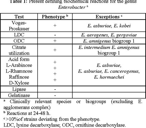 enterobacter aerogenes test results|Enterobacter spp.: Update on Taxonomy, Clinical .